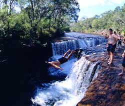 cape york swimming