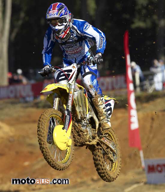 Daryl Hurley Penguin