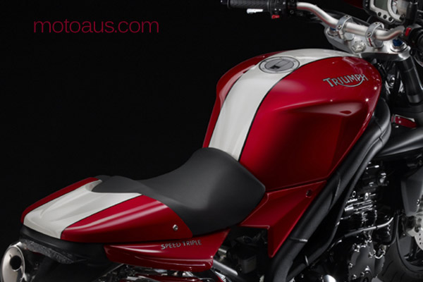 SpeedTriple-SE-2010