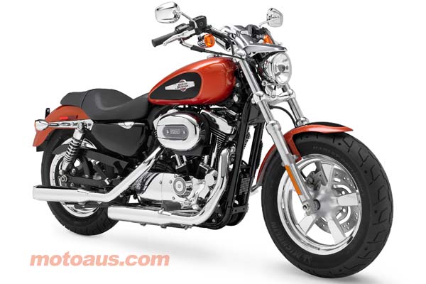 harley-davidson-1200-custom-2011-m