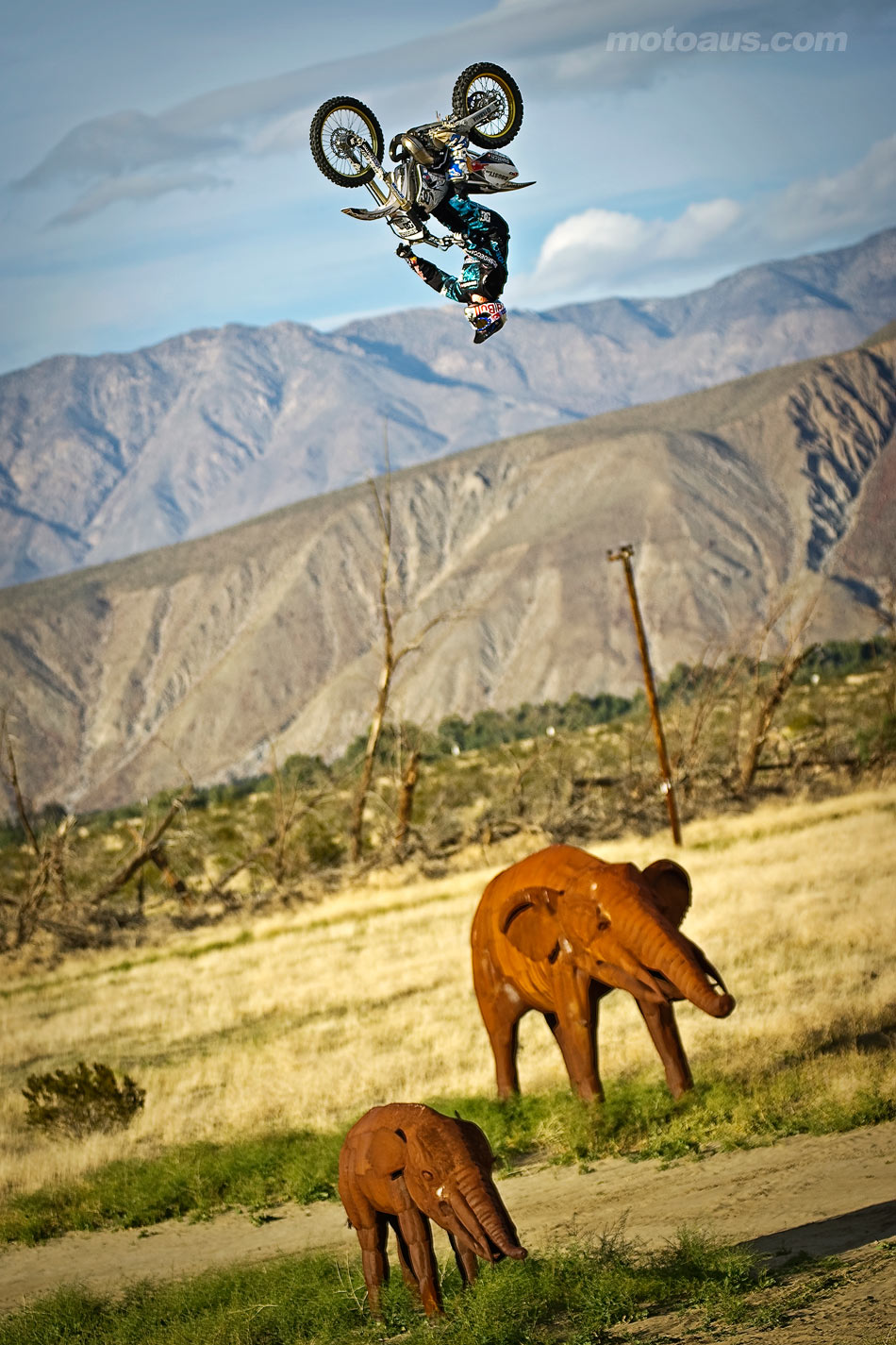 maddison-upsidedown-desert