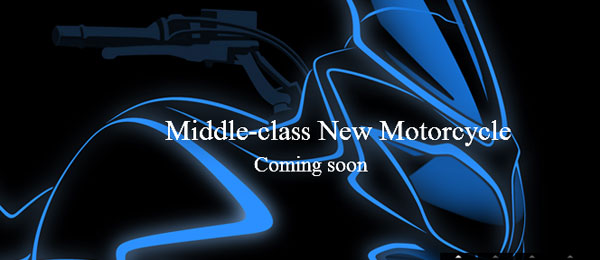 new-suzuki-adventure