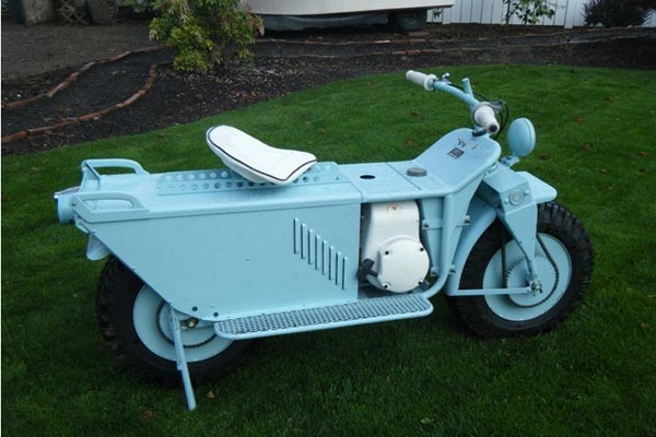 arctic-cat